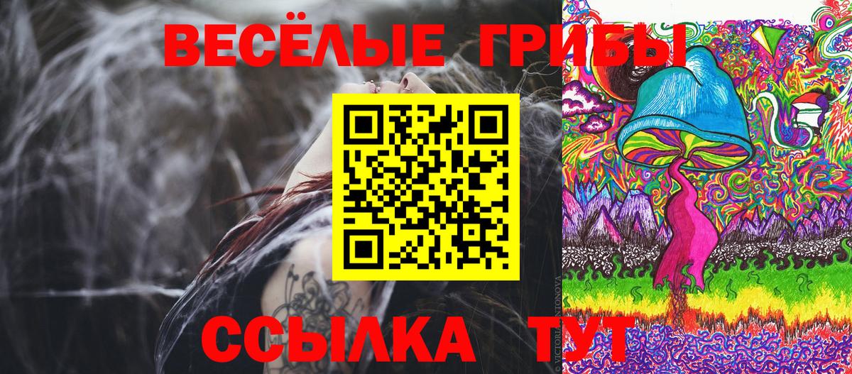 Галлюциногенные грибы Psilocybine cubensis  Вход с VPN  Димитровград 