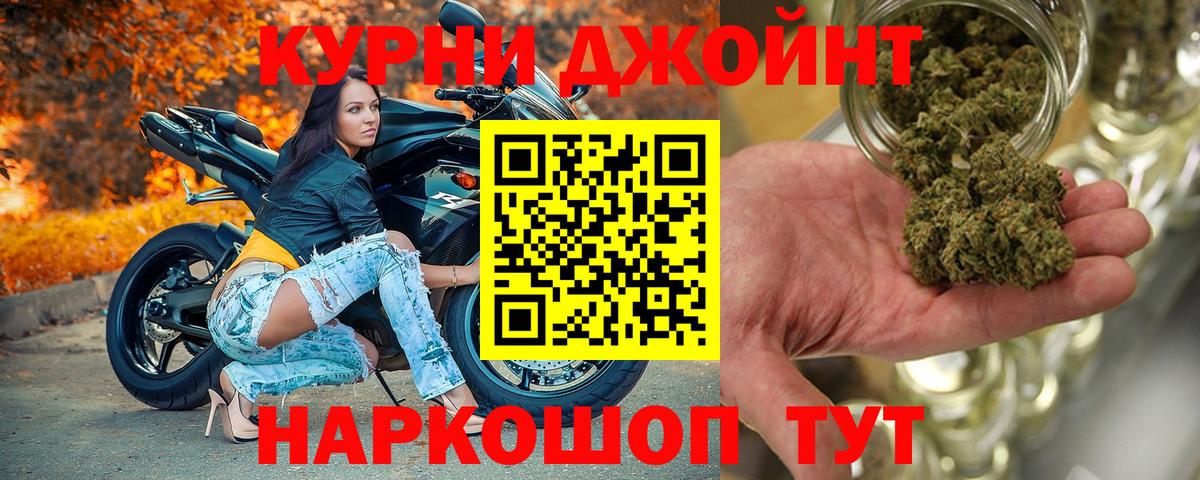 Димитровград  Конопля сатива  Бошки марихуана план  Вход с VPN 